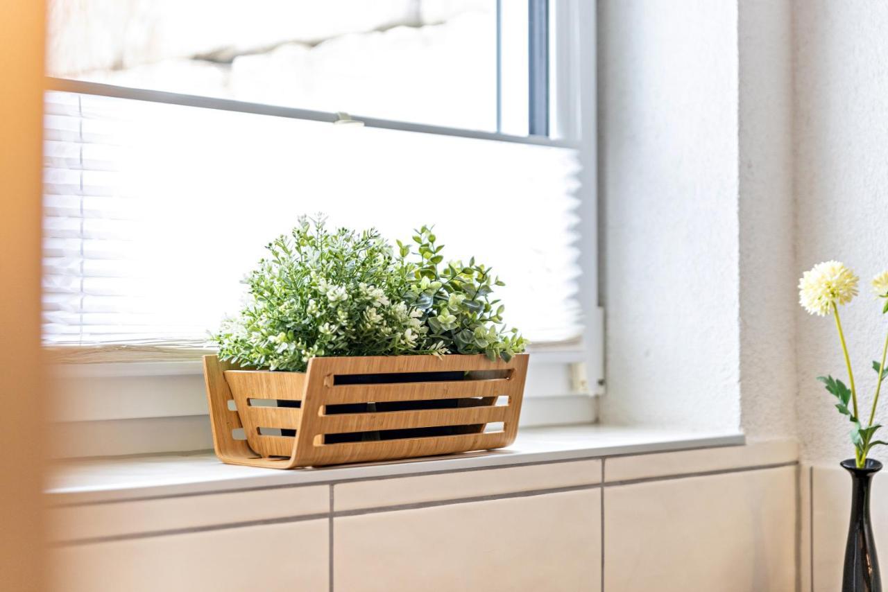 Ferienwohnung Alpenblick Zwiefalten 外观 照片